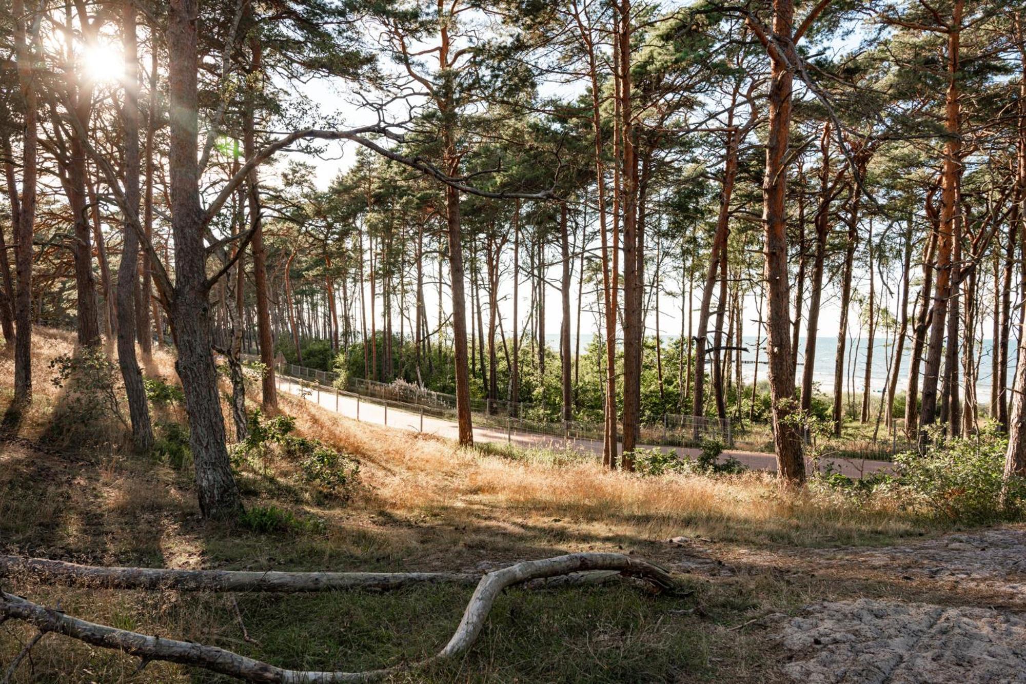 Neptuno Resort & Spa Dźwirzyno Dış mekan fotoğraf